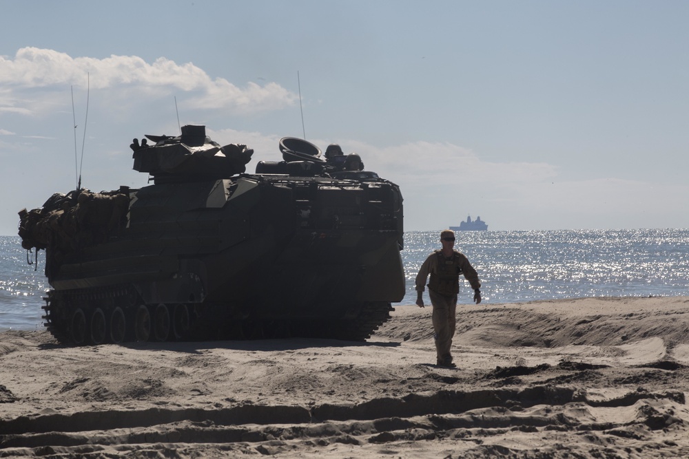 Amphibious Allies: U.S., coalition forces refine amphibious abilities