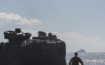 Amphibious Allies: U.S., coalition forces refine amphibious capabilities