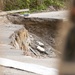 Army Reserve Soldiers Bring Water to Remote Mountain Area of Puerto Rico