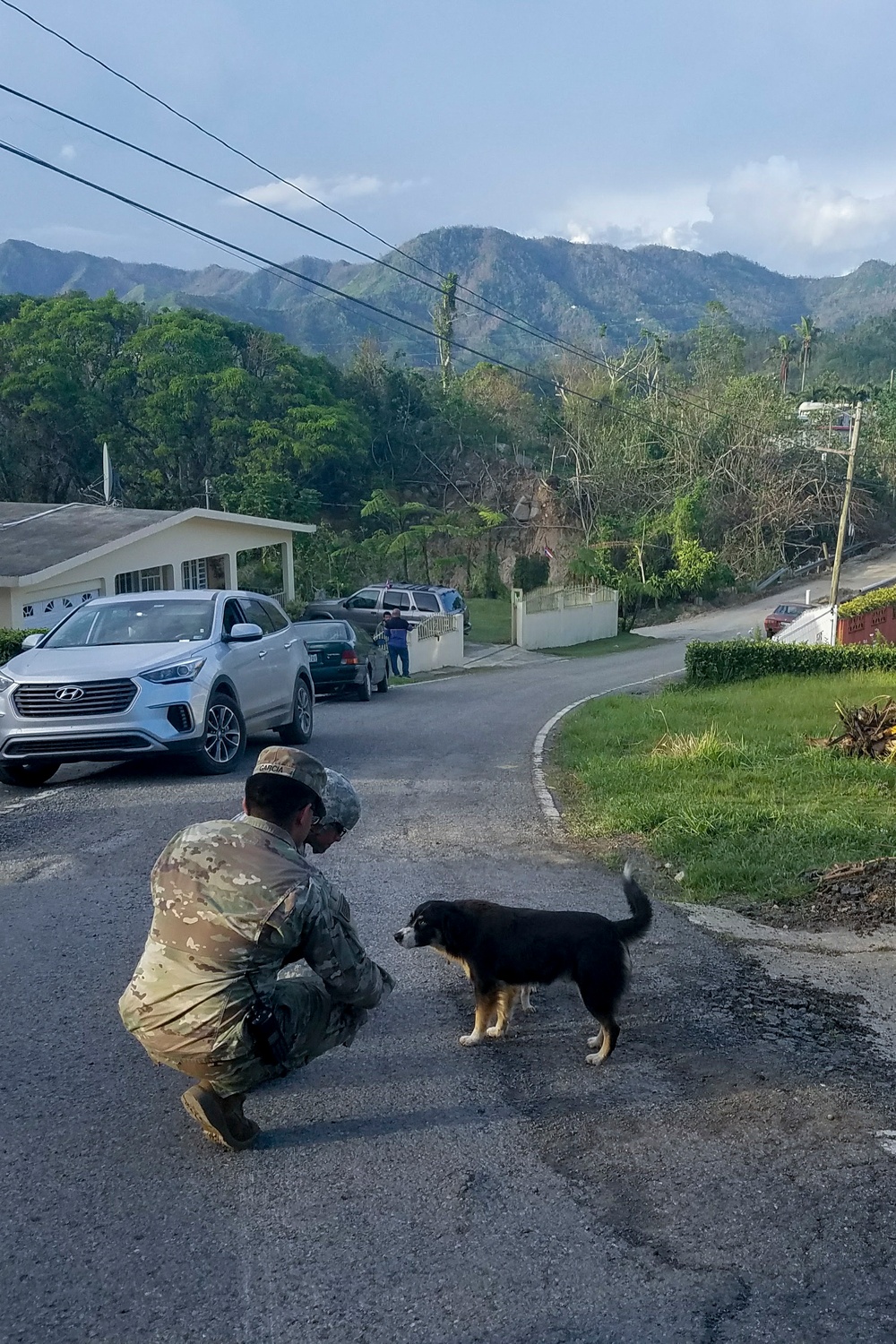 Soldiers Greet Dog