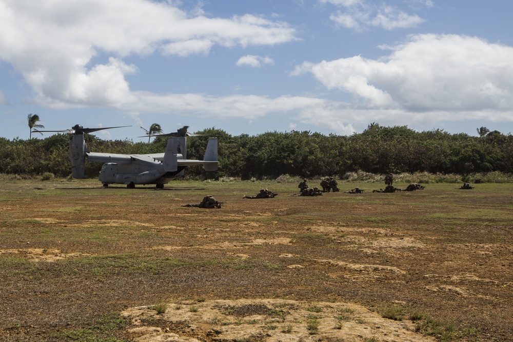 2nd Battalion, 3rd Marines conduct Tactical Recovery of Aircraft and Personnel training