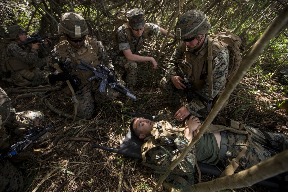 2nd Battalion, 3rd Marines conduct Tactical Recovery of Aircraft and Personnel training