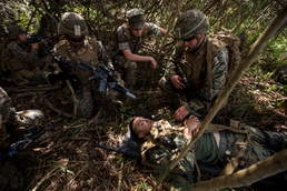 2nd Battalion, 3rd Marines conduct Tactical Recovery of Aircraft and Personnel training