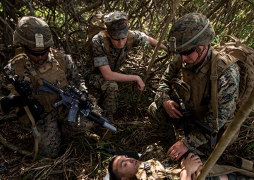 2nd Battalion, 3rd Marines conduct Tactical Recovery of Aircraft and Personnel training