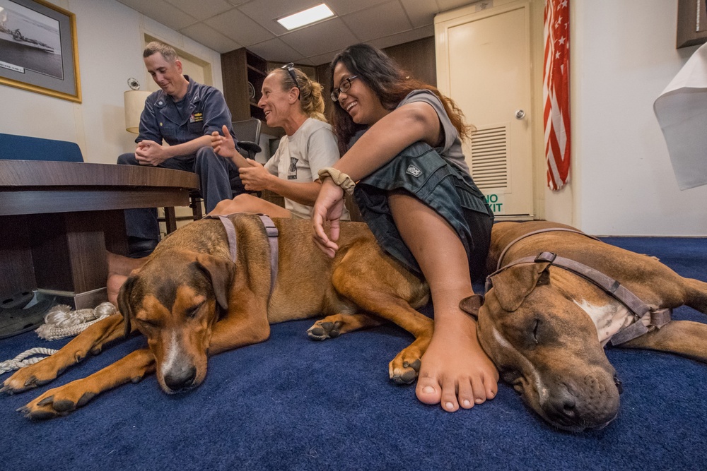 Mariners with Dogs on Ashland