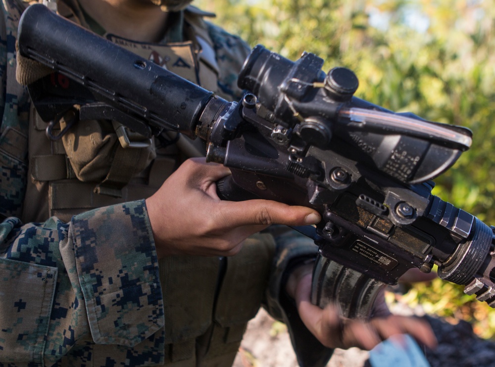 2/8 Posts Security in Support of Bold Alligator 17