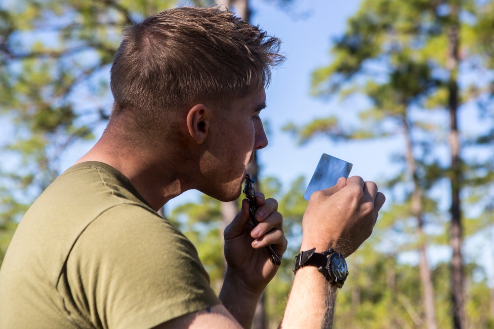 2/8 Posts Security in Support of Bold Alligator 17