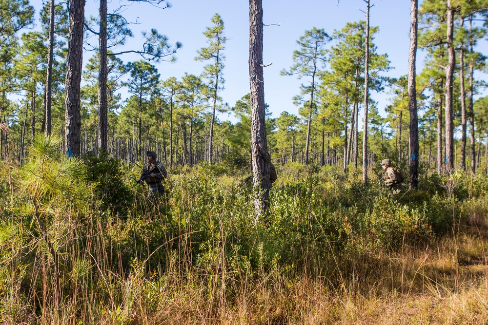 2/8 Posts Security in Support of Bold Alligator 17