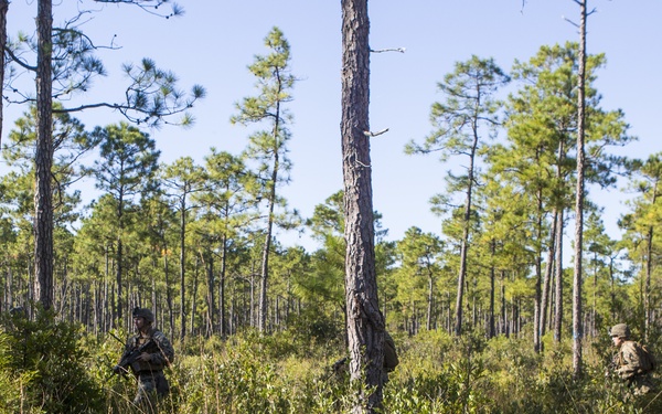 2/8 Posts Security in Support of Bold Alligator 17