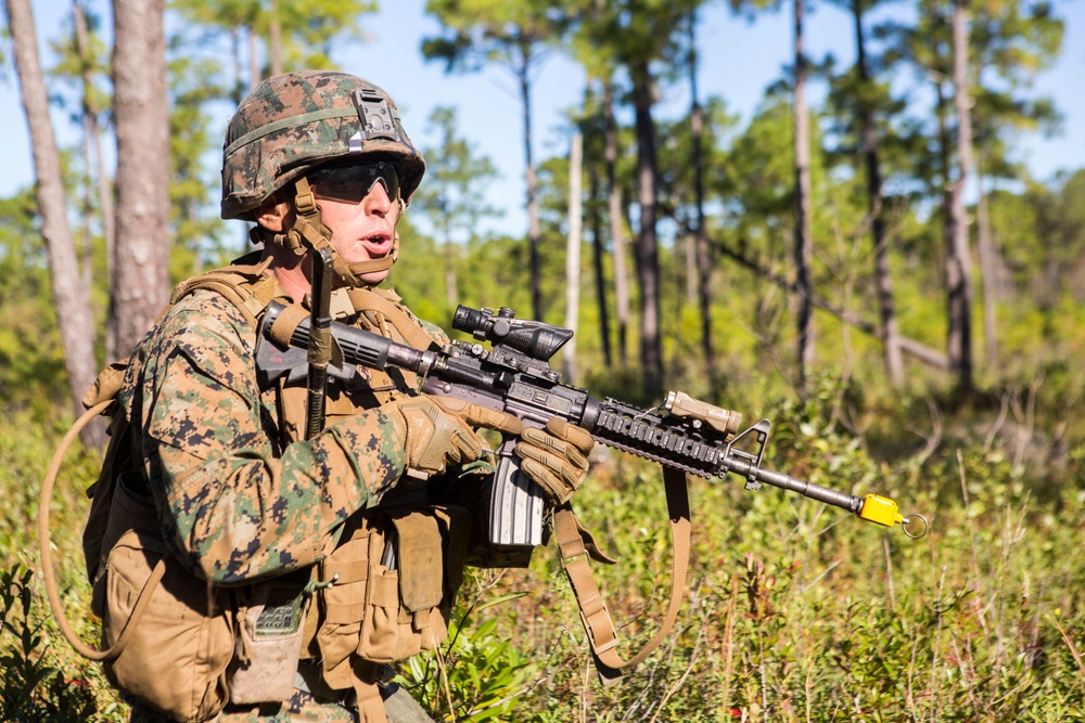 2/8 Posts Security in Support of Bold Alligator 17