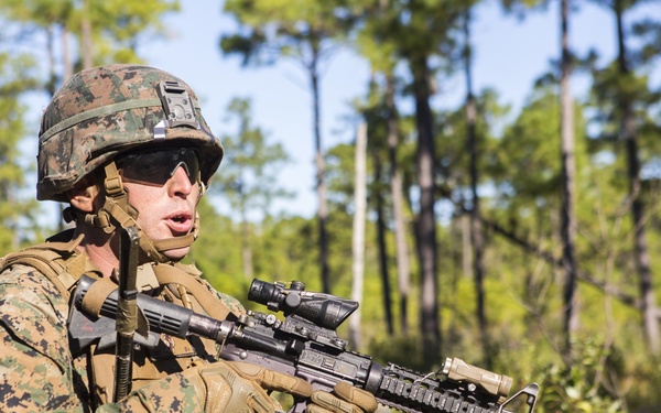 2/8 Posts Security in Support of Bold Alligator 17