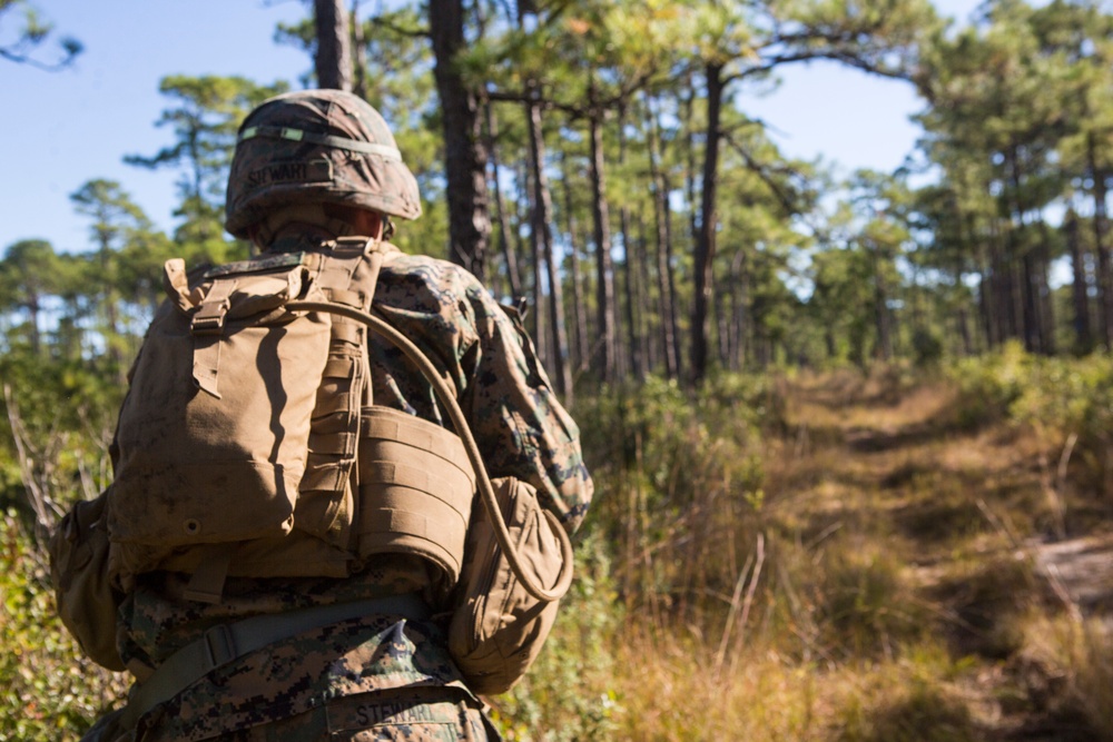 2/8 Posts Security in Support of Bold Alligator 17