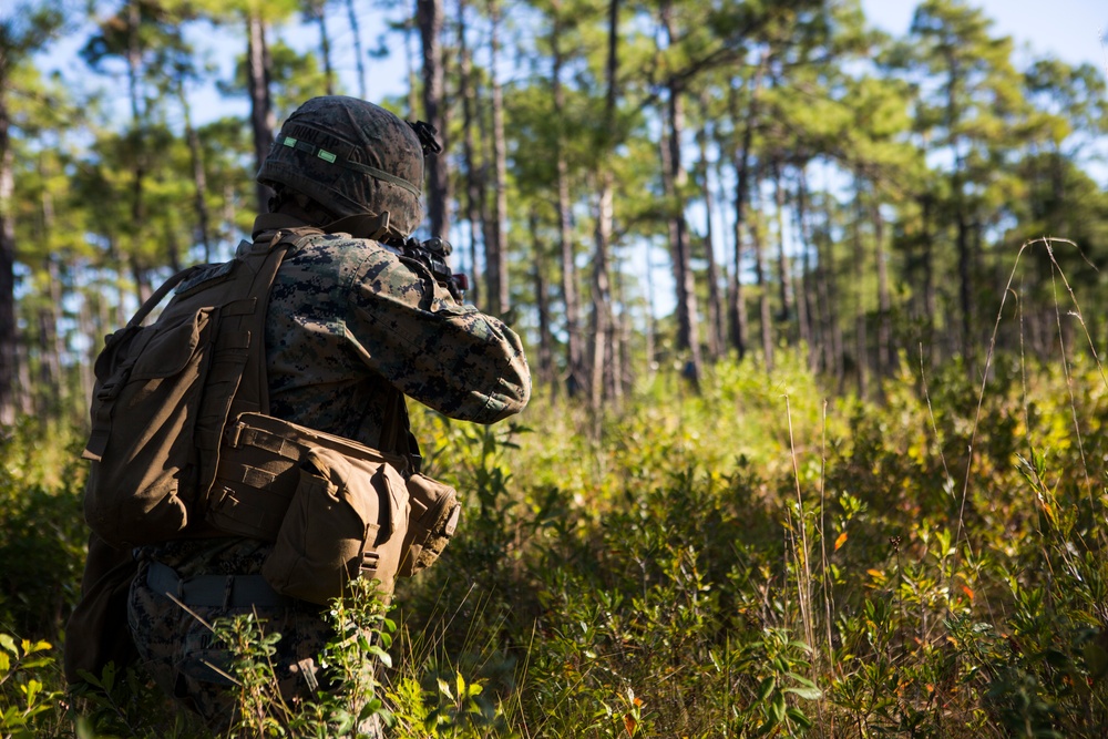 2/8 Posts Security in Support of Bold Alligator 17