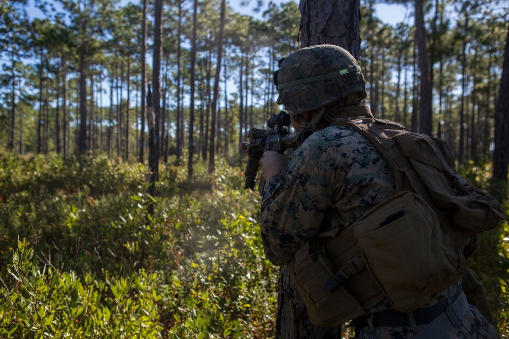 2/8 Posts Security in Support of Bold Alligator 17