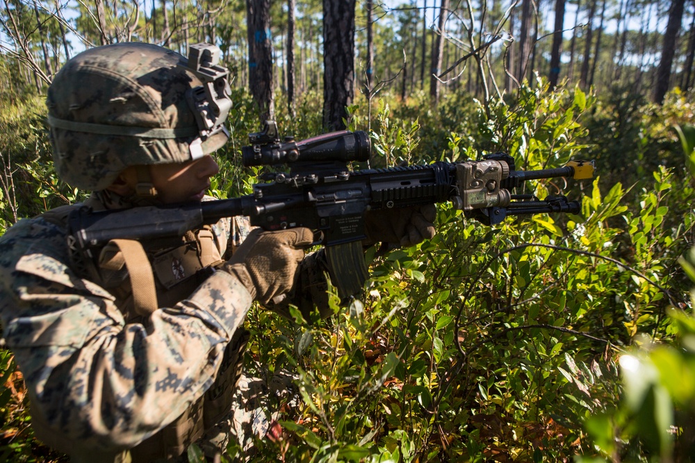 2/8 Posts Security in Support of Bold Alligator 17