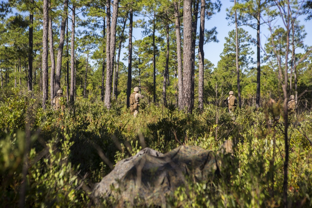 2/8 Posts Security in Support of Bold Alligator 17