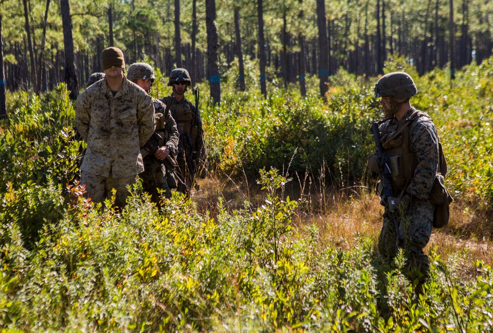 2/8 Posts Security in Support of Bold Alligator 17