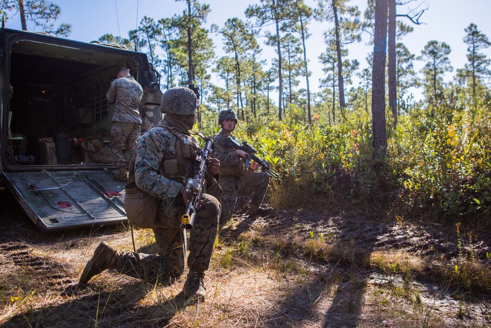 2/8 Posts Security in Support of Bold Alligator 17