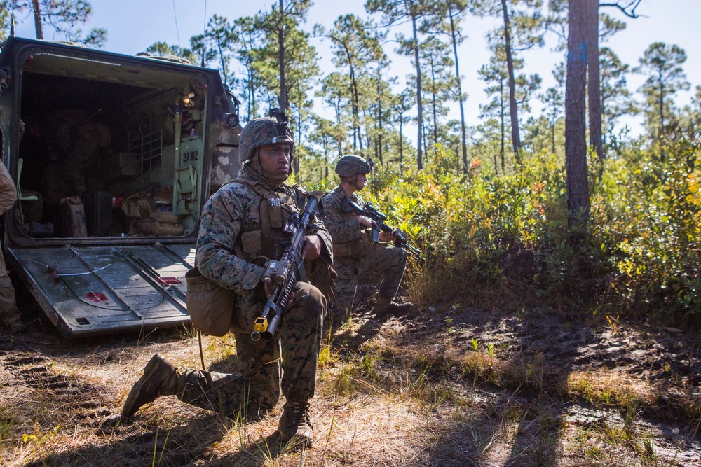 2/8 Posts Security in Support of Bold Alligator 17