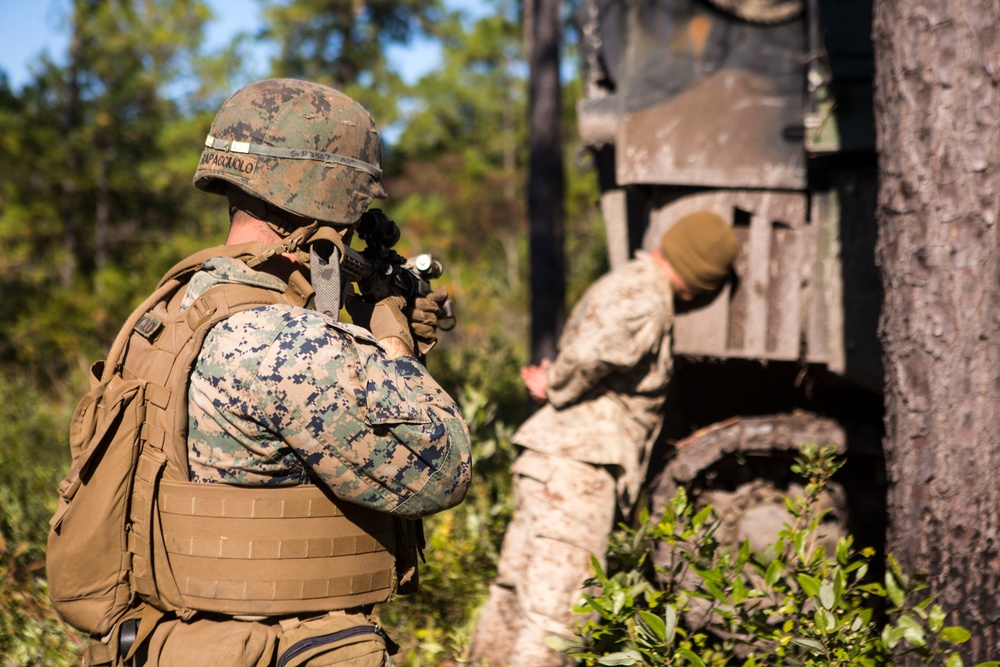 2/8 Posts Security in Support of Bold Alligator 17