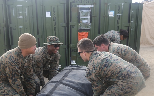 Role II Surgical Platoon
