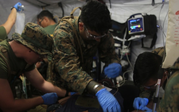Role II Surgical Platoon