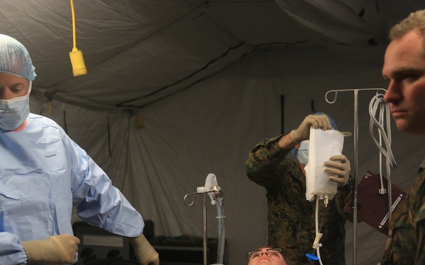 Role II Surgical Platoon