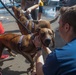 Dogs on USS Ashland