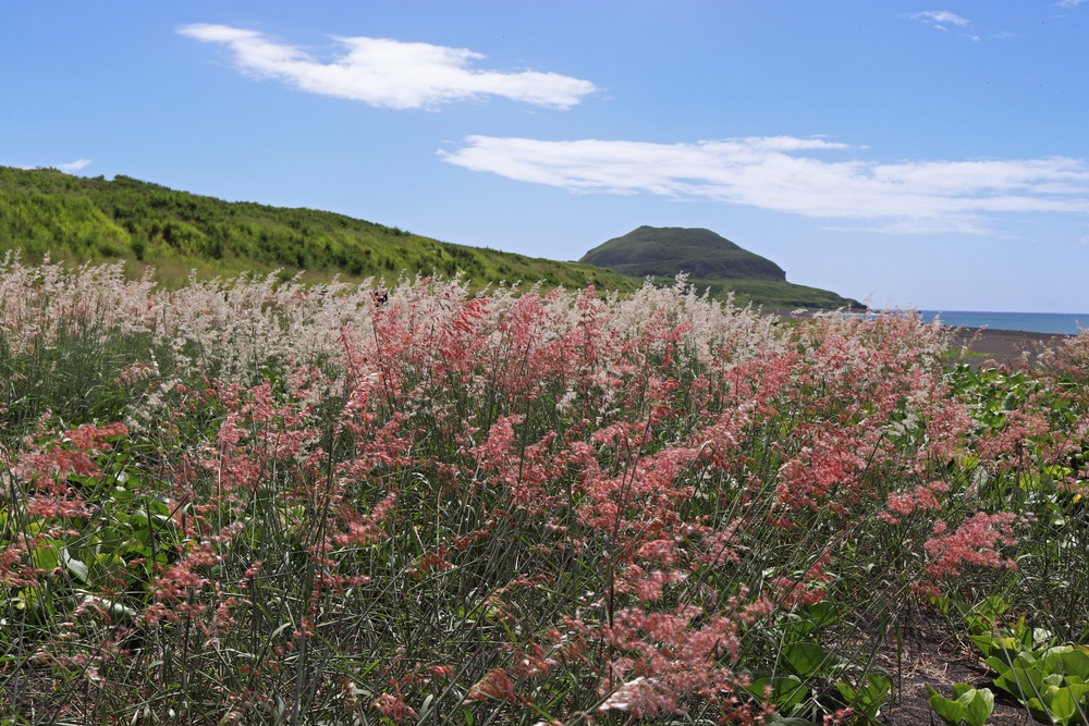 Iwo Jima: A trip to remember