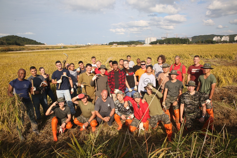 Here for the Harvest: ROK and U.S. Marines assist local farmers after Typhoon Lan