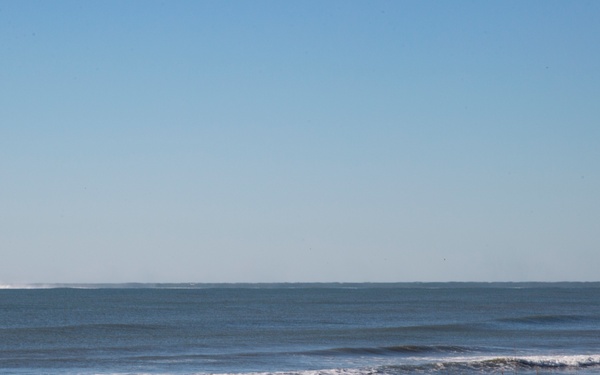 Bold Alligator 2017 Distinguished Visitors Observance