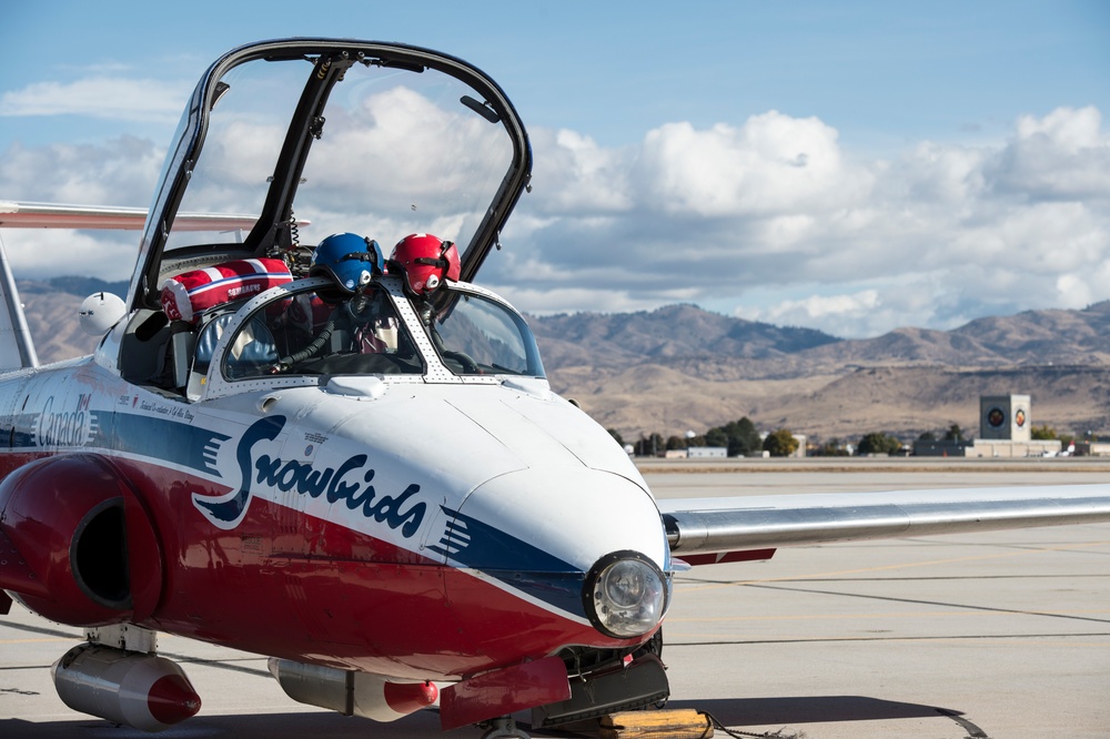 Snowbirds at Gowen Field