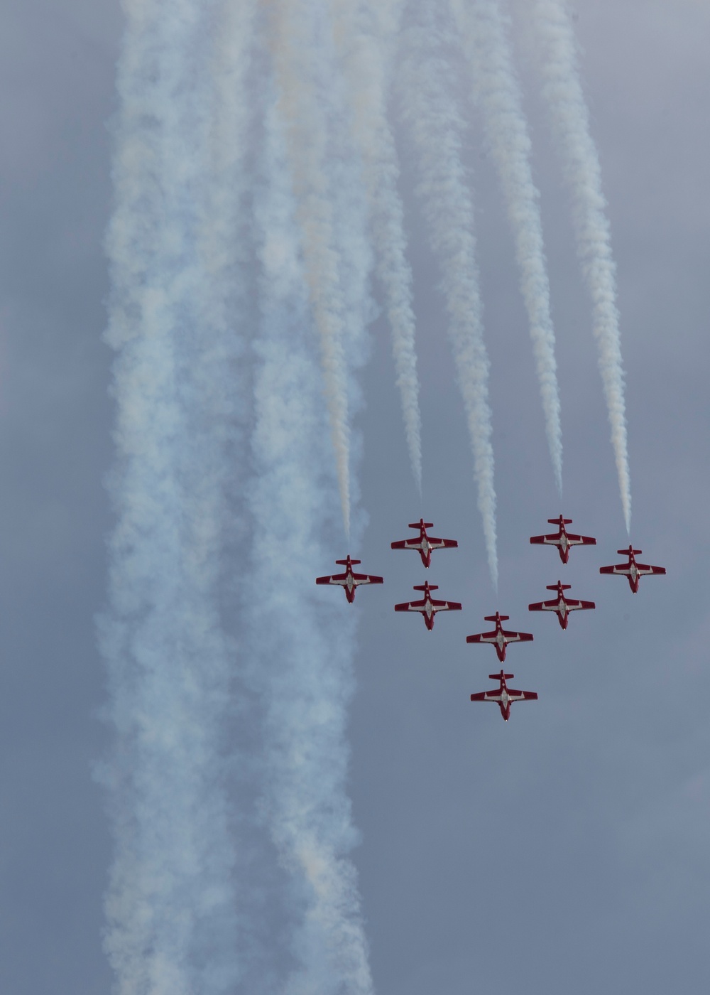 Snowbirds at Gowen Field