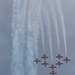 Snowbirds at Gowen Field