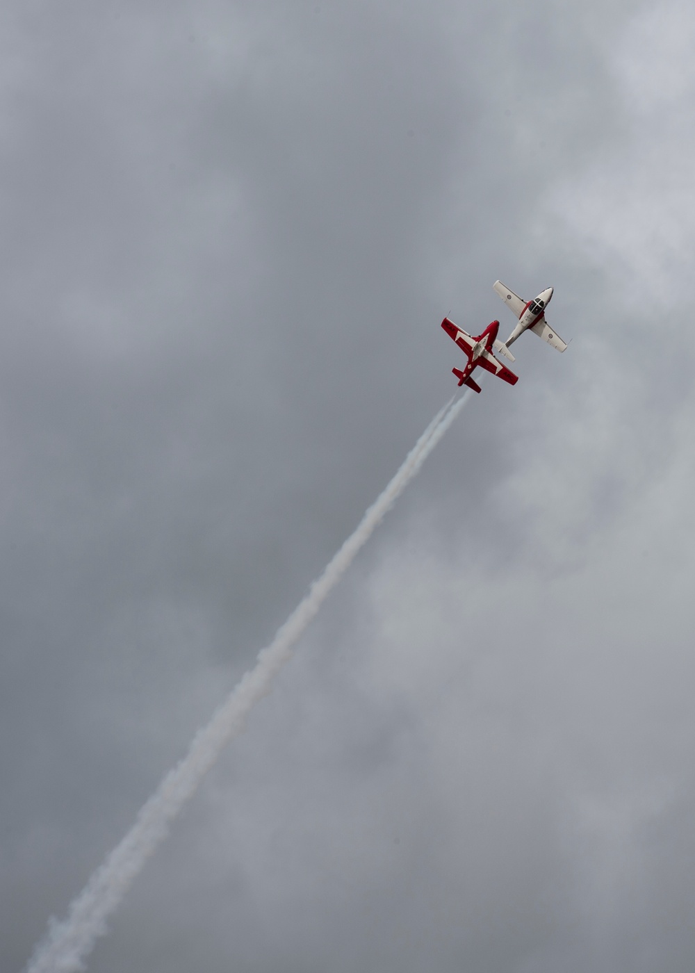 Snowbirds at Gowen Field