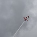 Snowbirds at Gowen Field