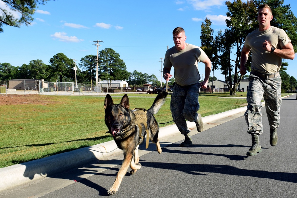 East Coast Iron Dog Competition