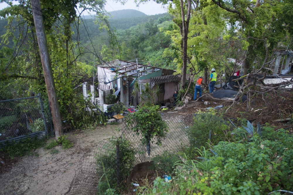 Hurricane Maria: Blue Roof Project