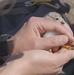Piping Plover Banding