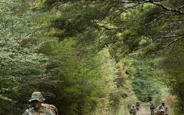 Extract Patrol during Southern Katipo 17