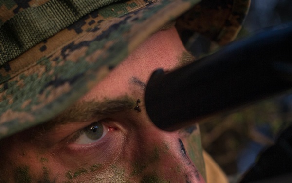 Extract Patrol during Southern Katipo 17