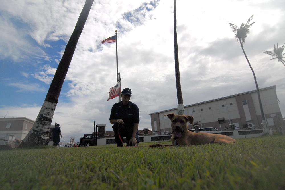 Coast Guard reservist adopts puppy rescued from Hurricane Maria