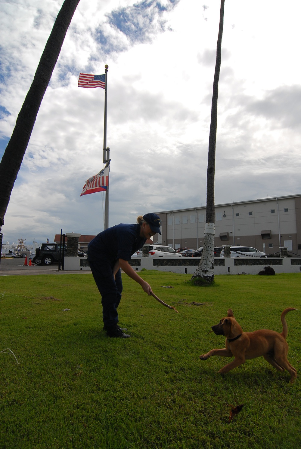 Coast Guard reservist adopts puppy rescued from Hurricane Maria