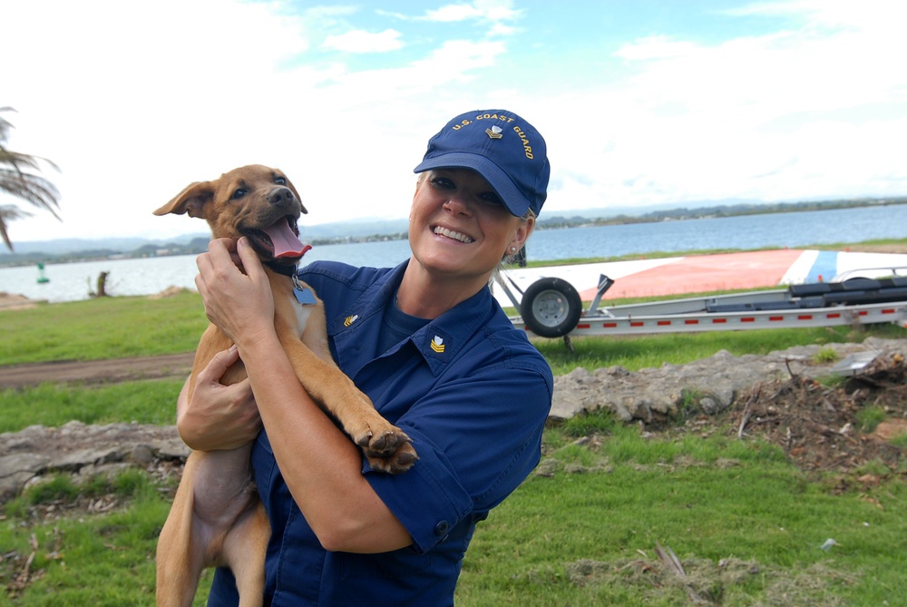 Coast Guard reservist adopts puppy rescued from Hurricane Maria