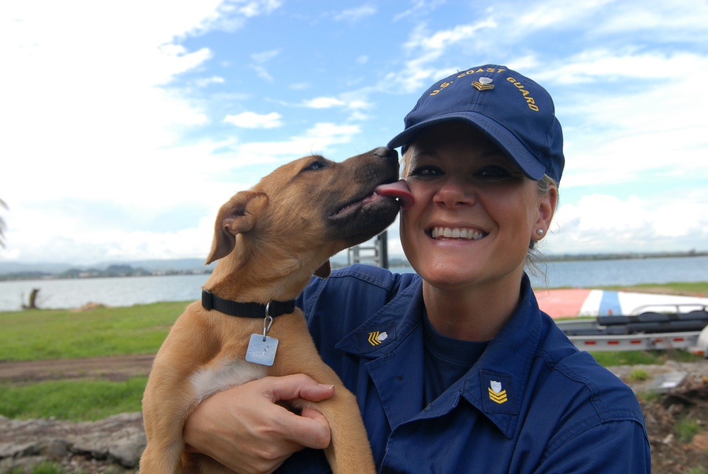 Coast Guard reservist adopts puppy rescued from Hurricane Maria