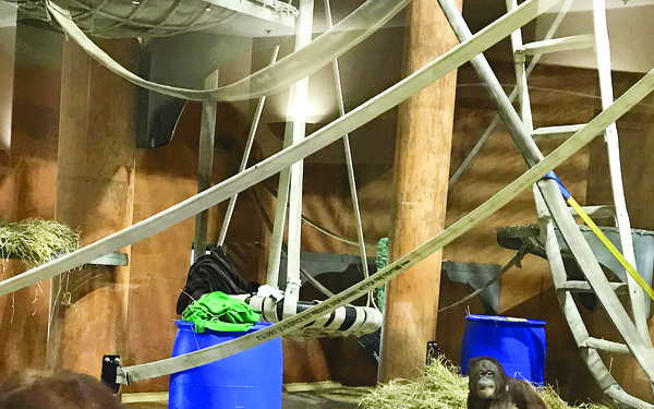 Quantico Fire and Emergency Services put old hoses to work in community