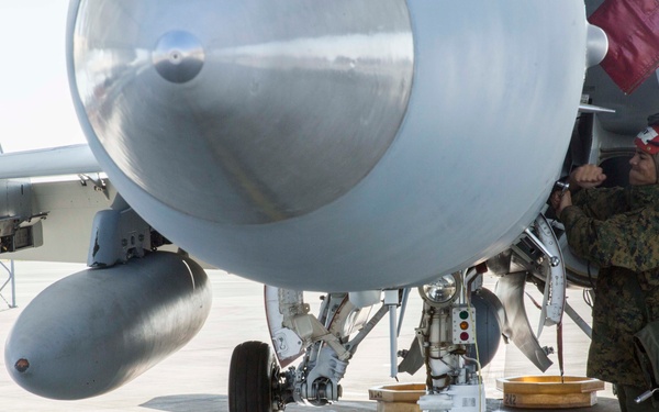 Maintainers’ ground work keep Bats flying