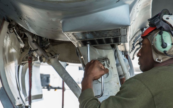 Maintainers’ ground work keep Bats flying