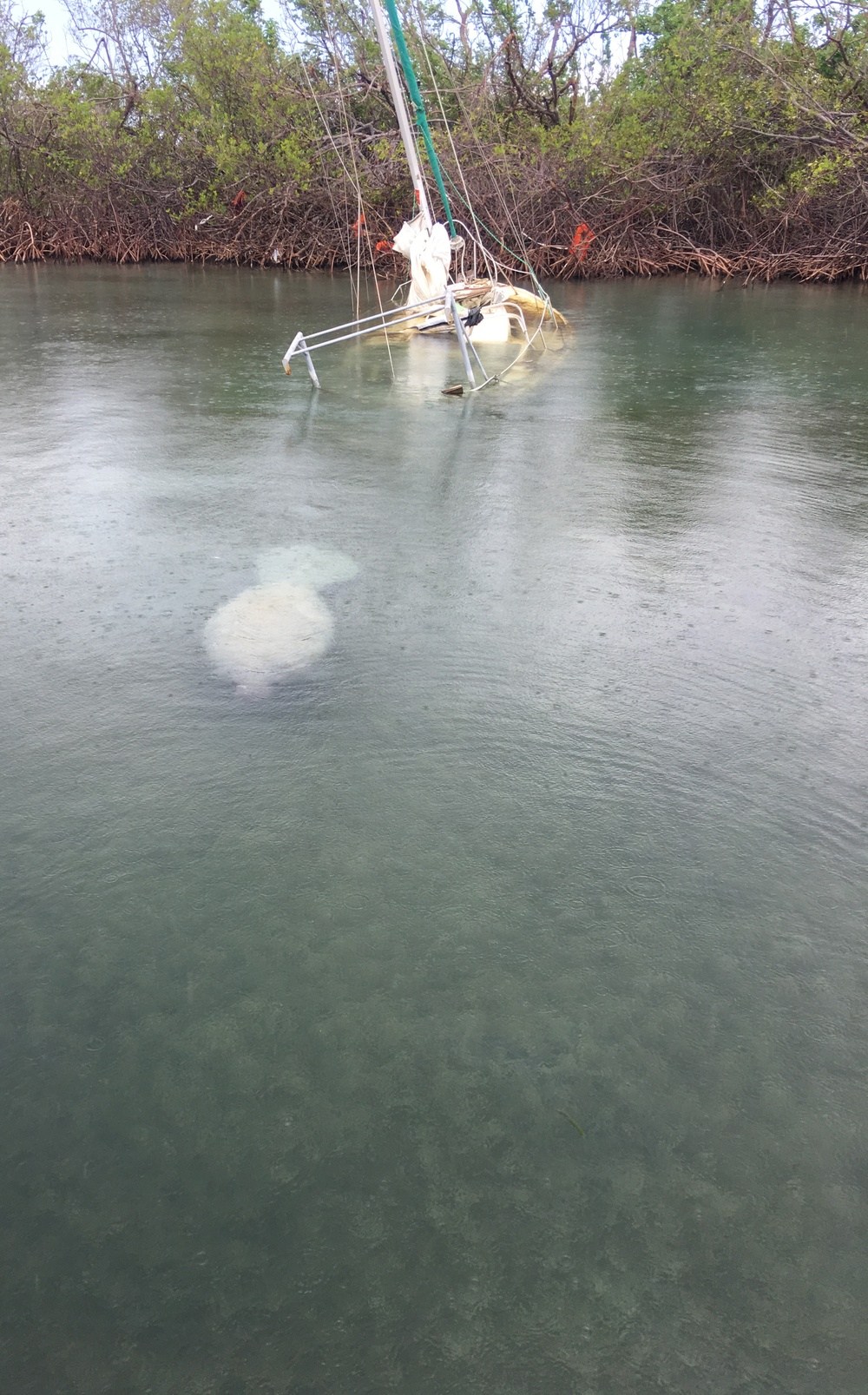 Maria ESF-10 PR Unified Command responders evaluate damaged vessels in Puerto Rico