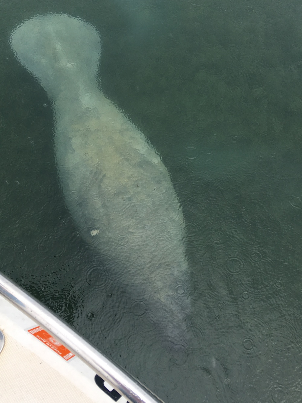 Maria ESF-10 PR Unified Command responders evaluate damaged vessels in Puerto Rico